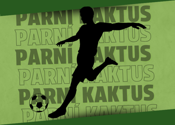 TOMÁŠ BAŠTA